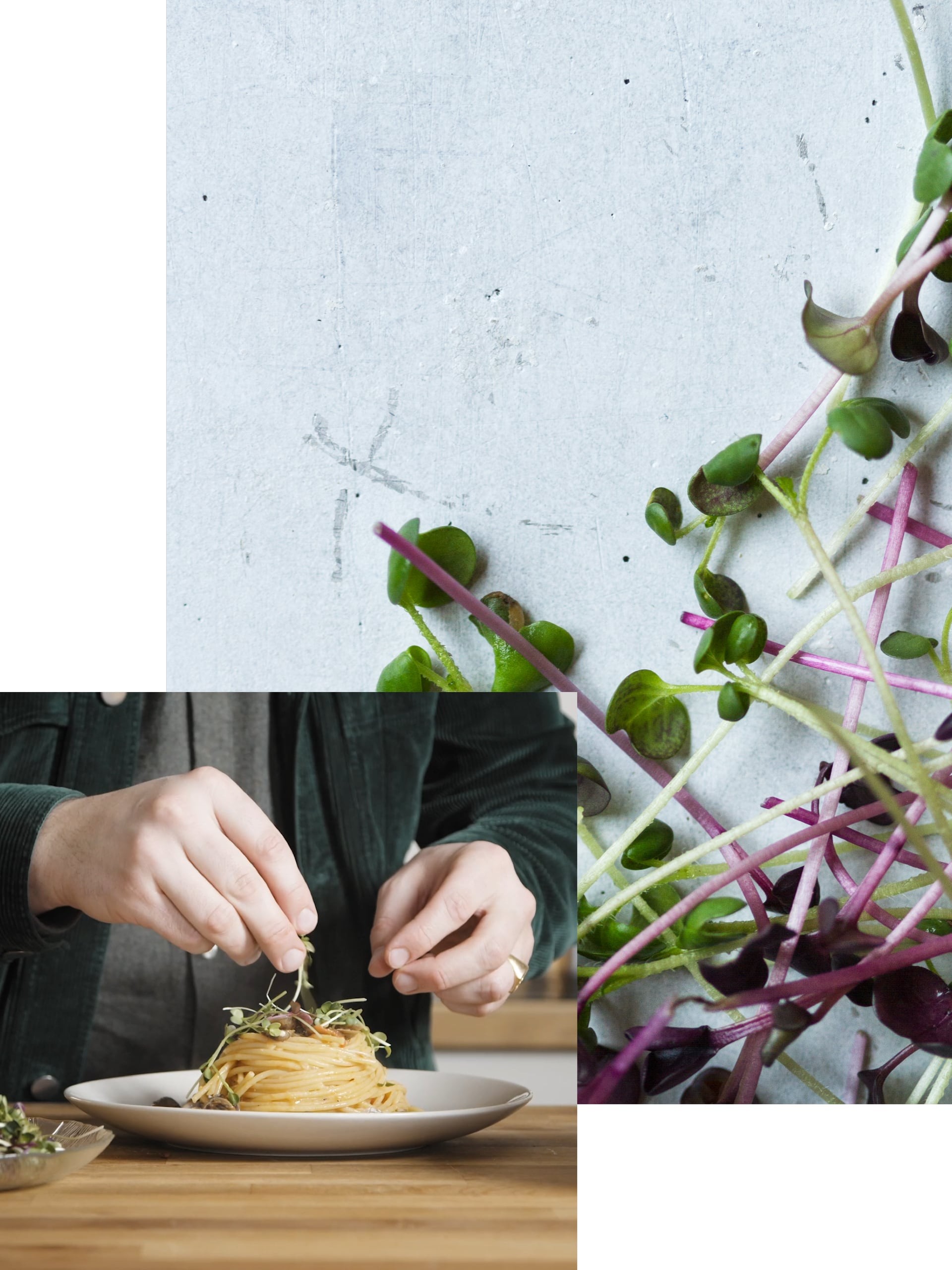 Minivoices – Pasta – Sustainability